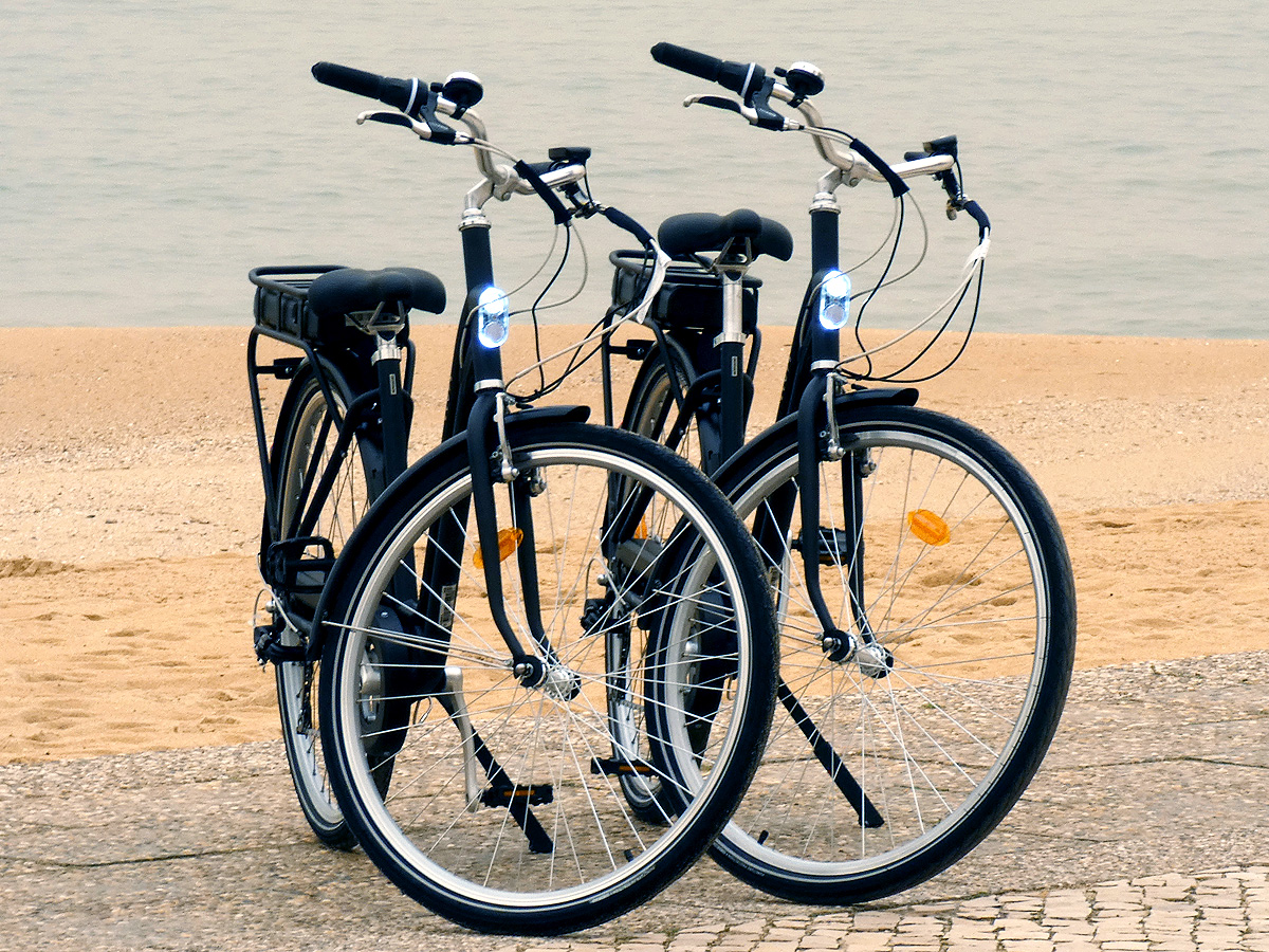 Electric-bicycle-ELOPS-120-E-1200x900